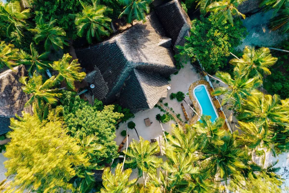Zanziholics work