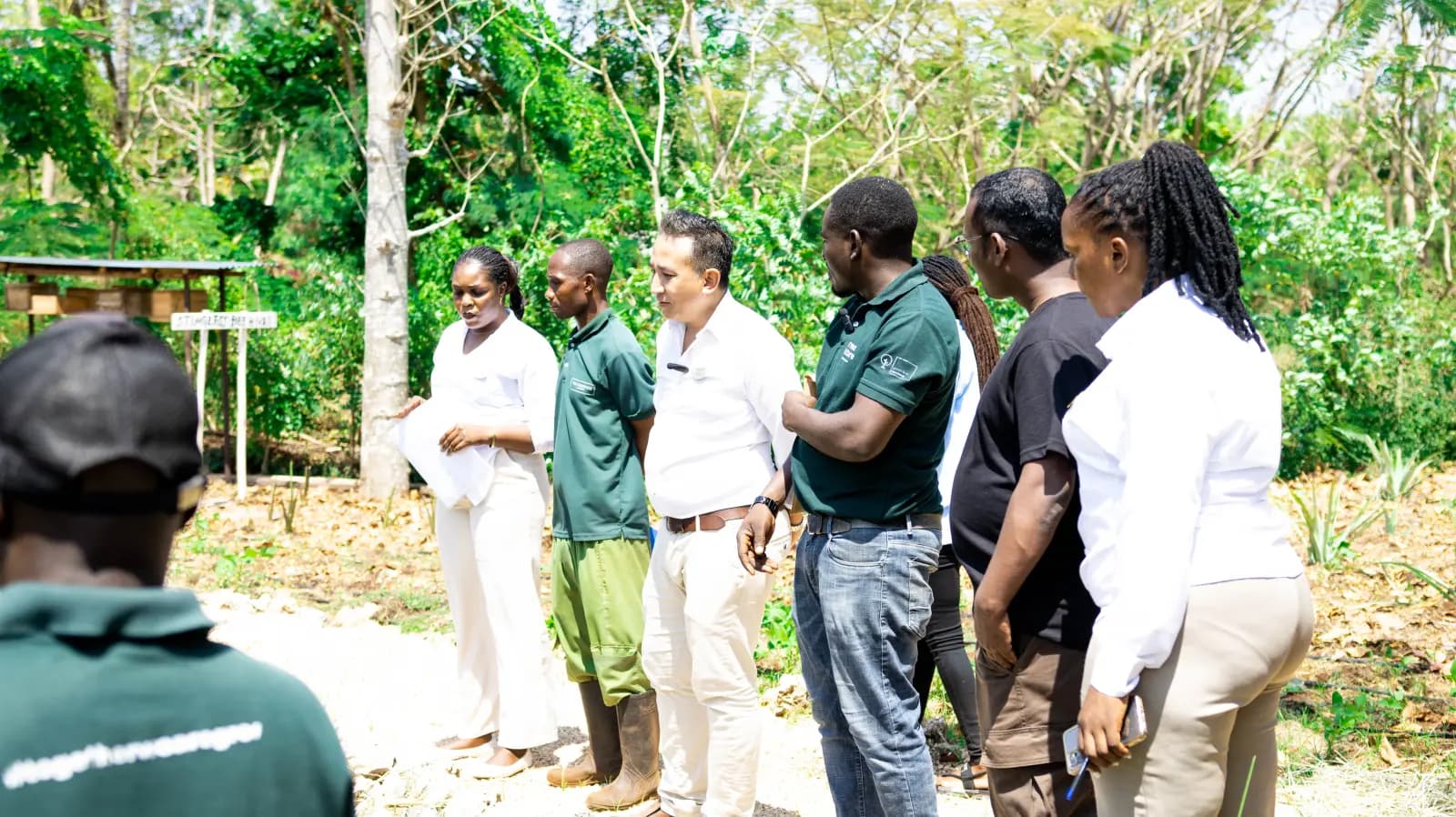 Permaculture Design Company